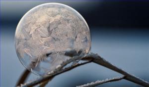 独家揭秘｜南财“水晶..